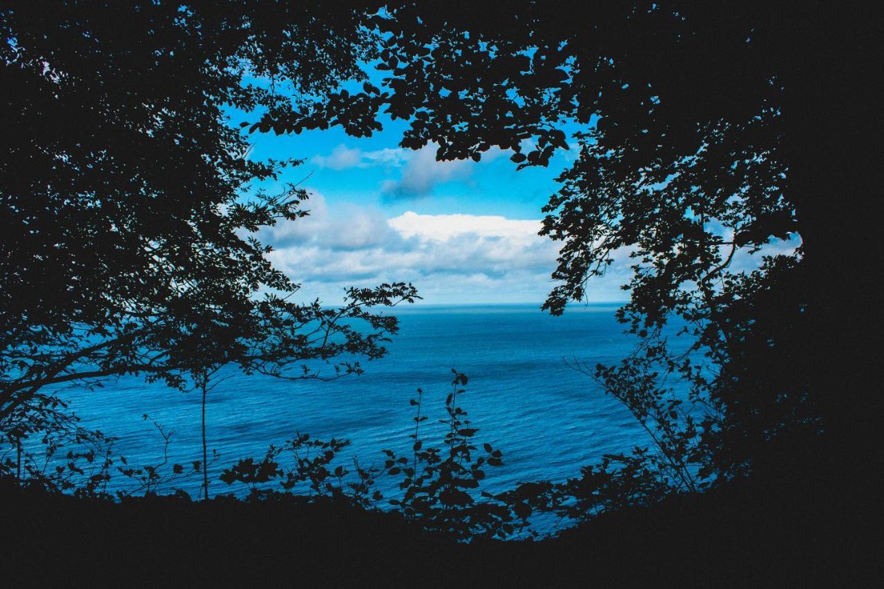 Villa Bella Vista - Meerblick 1 Sassnitz Dış mekan fotoğraf